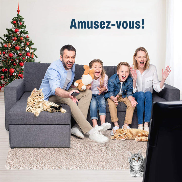 Scratch-Resistant Furniture Protection Tape for Cats | Kalsten