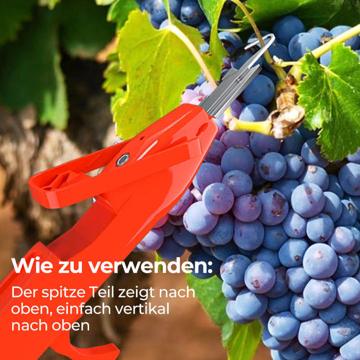 Efficient Pepper Picking Tools | Kalsten
