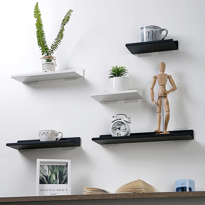 Single Metal Shelf Organizer