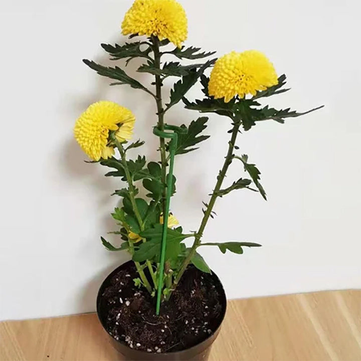 Plant support pole | Kalsten