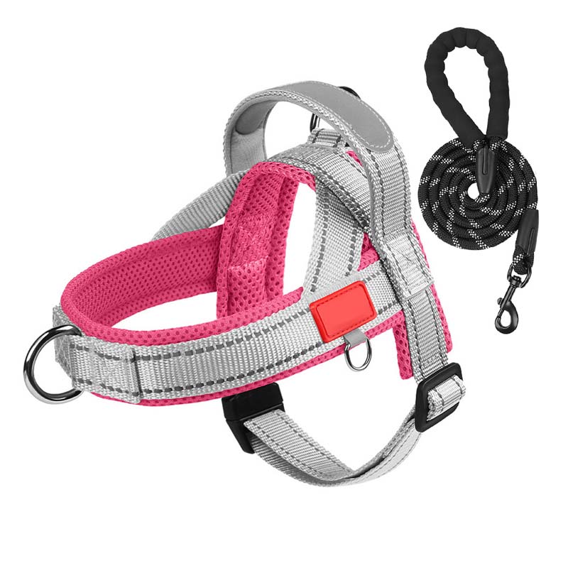 PawEase Comfort Harness — Relaxed Dressing and Unlimited Freedom for Your Dog | Kalsten