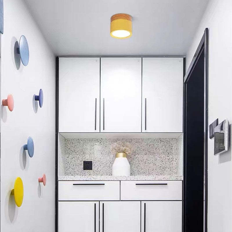 Morandi Style Modern LED Ceiling Lamp - LumiModo | Kalsten