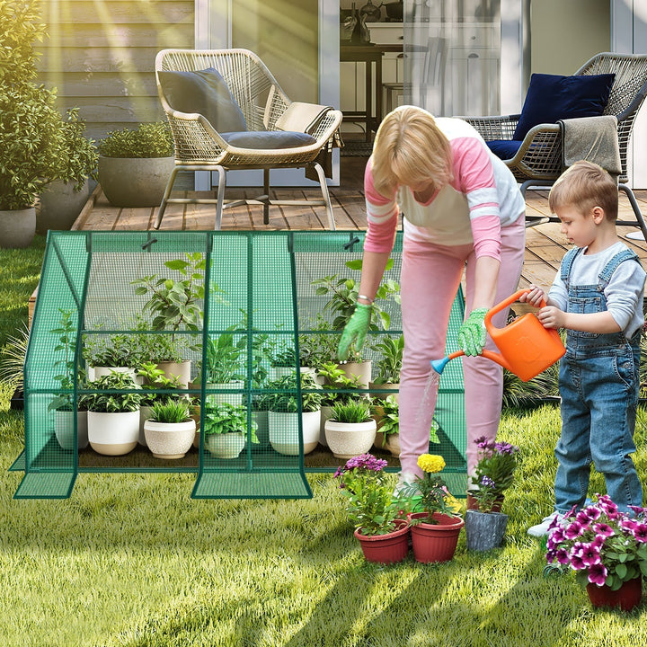Greenhouse Tomato Greenhouse Hothouse | Kalsten