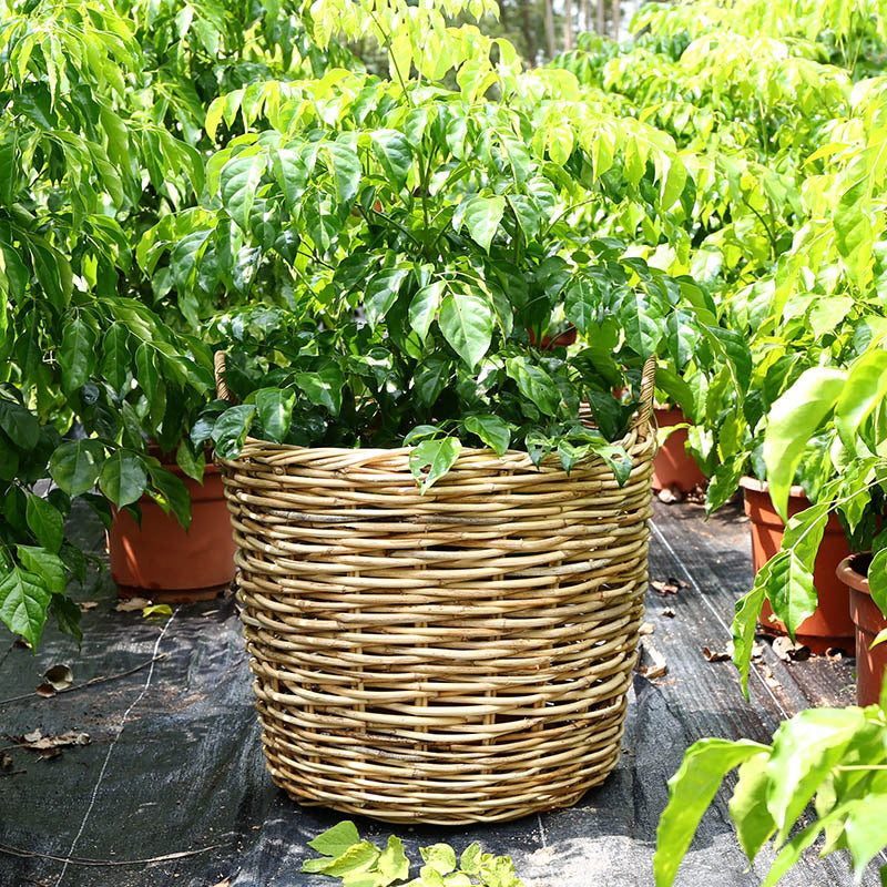 Unisex storage basket made of handwoven material Kalsten