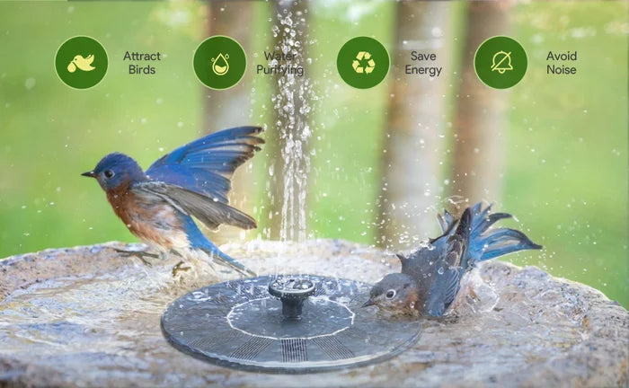 SolarSprudelX — Turn your garden into a stunning natural oasis full of life and magic! | Kalsten