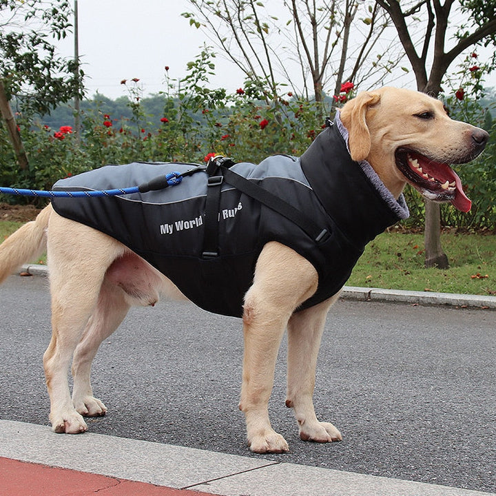 Kalsten | Waterproof Winter Dog Jackets