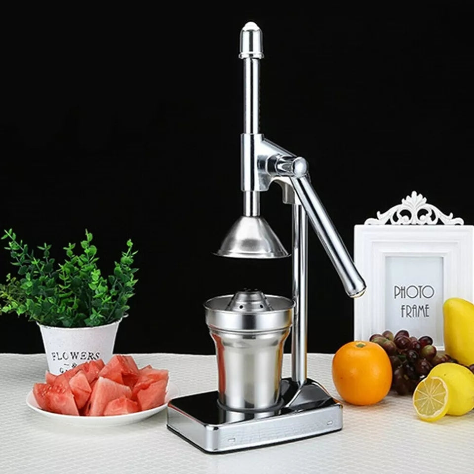 Kalsten | Stainless Steel Fruit Juicer