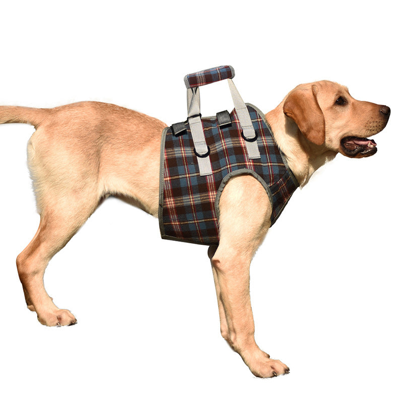 Orthopedic Rear Leg Harness