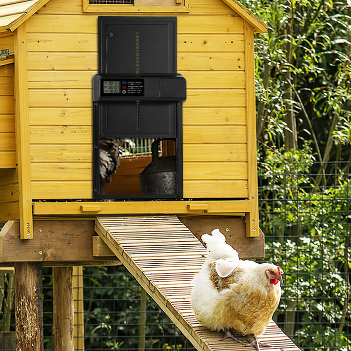 Chicken flap automatic timer | Kalsten