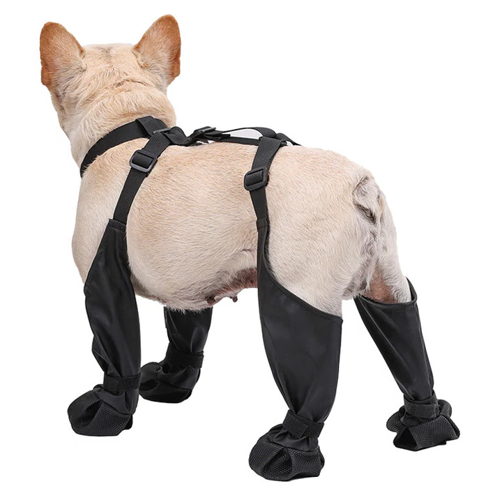 Adjustable Protective Dog Shoes
