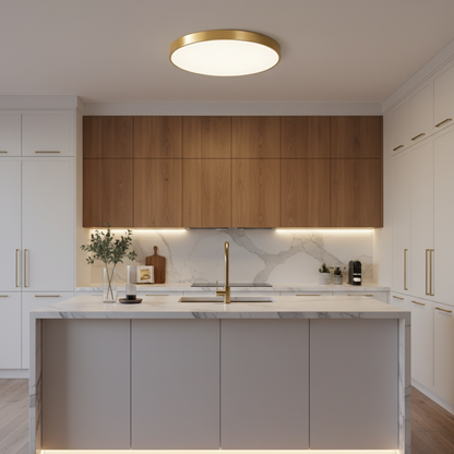 Ultra-Slim Disc LED Flush Mount