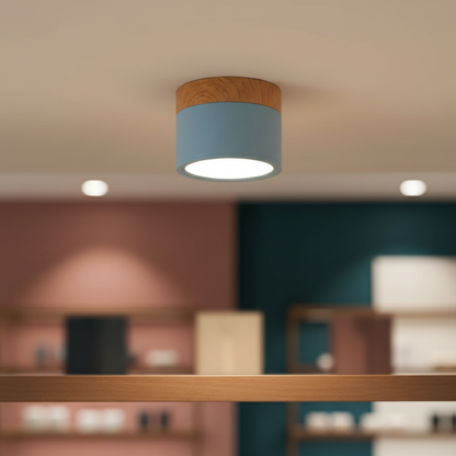 Aluminum LED Flush Mount Ceiling Light