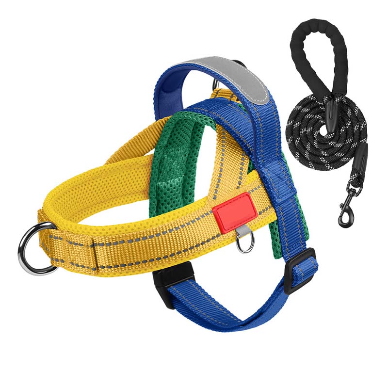 PawEase Comfort Harness — Relaxed Dressing and Unlimited Freedom for Your Dog | Kalsten