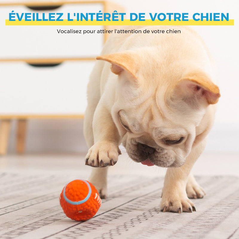 Immortal toy for aggressive chewers | Kalsten