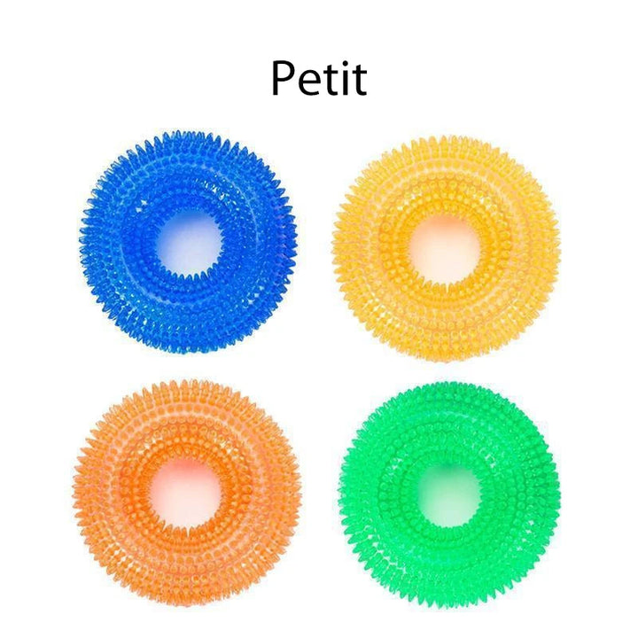 Vocal Ball Toy for Dog to Bite | Kalsten