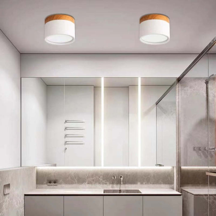 Morandi Style Modern LED Ceiling Lamp - LumiModo | Kalsten