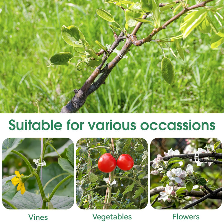 Kalsten | Tomato Clips, Plastic Trellis Clips