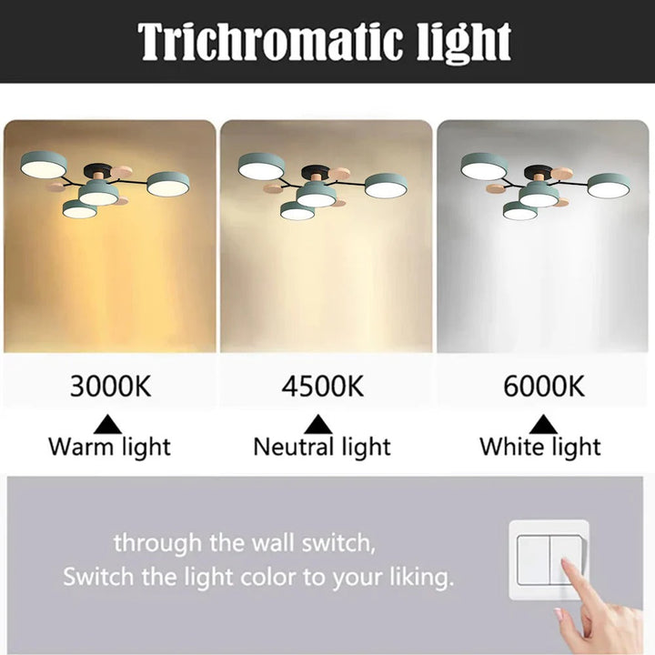 Modern LED Flush Mount Ceiling Lamp Kalsten