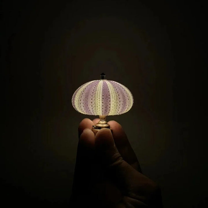 Kalsten | LumiCraft – Unique DIY table lamp with natural sea shell for a cozy décor