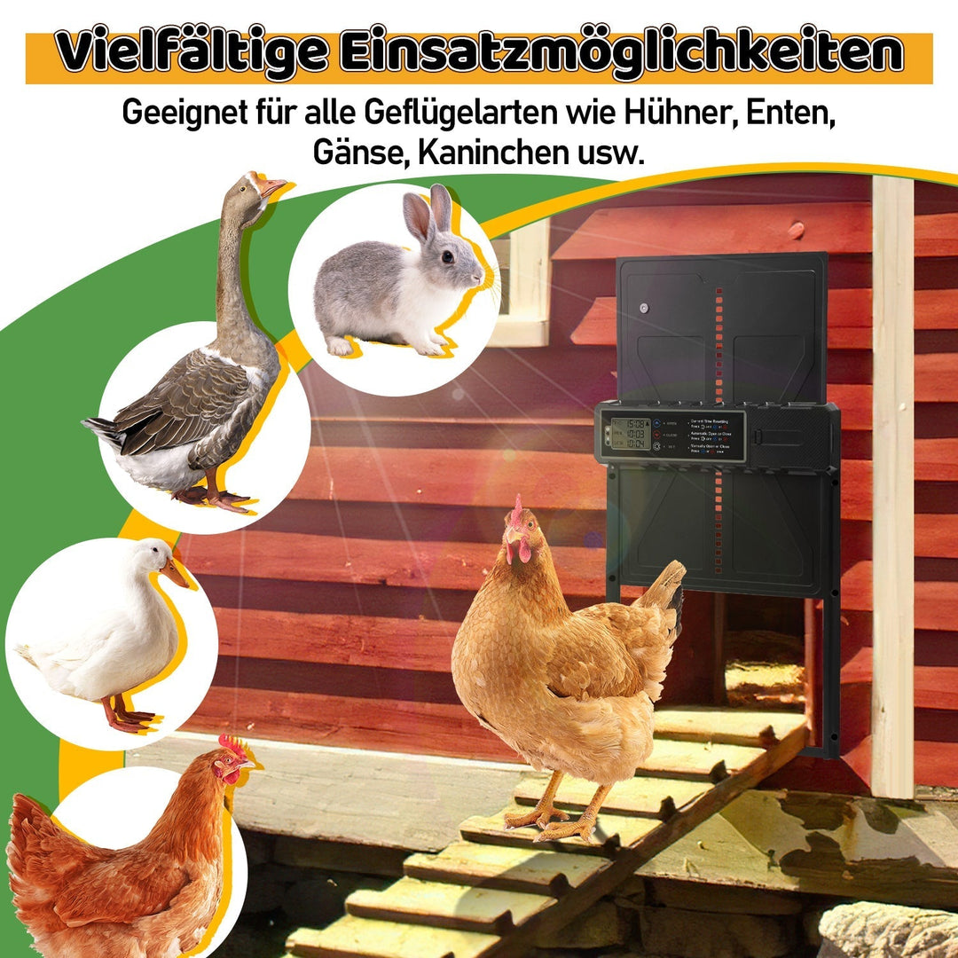 Electric Chicken Coop Door Solar with LED Display and Remote Control | Kalsten
