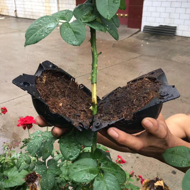 Air Layer Plant Propagation Capsule | Kalsten