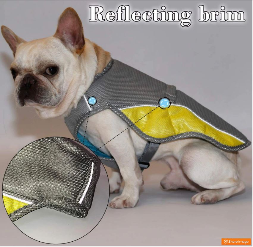 Coolify™ : Cooling Vest for Frenchie (CS13) | Kalsten