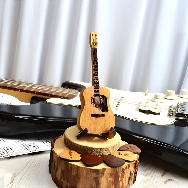 Acoustic guitar pick storage box Kalsten