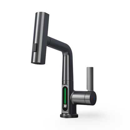 Skanto | Adjustable Kitchen Faucet with Temperature Display