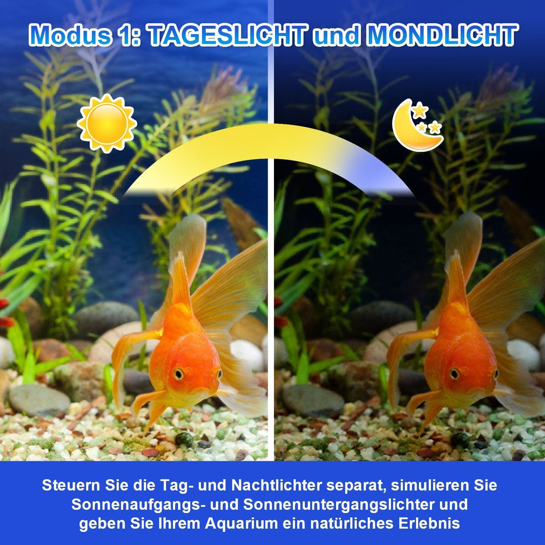 LED Aquarium Lighting 24/7 Mode with Timer | Kalsten
