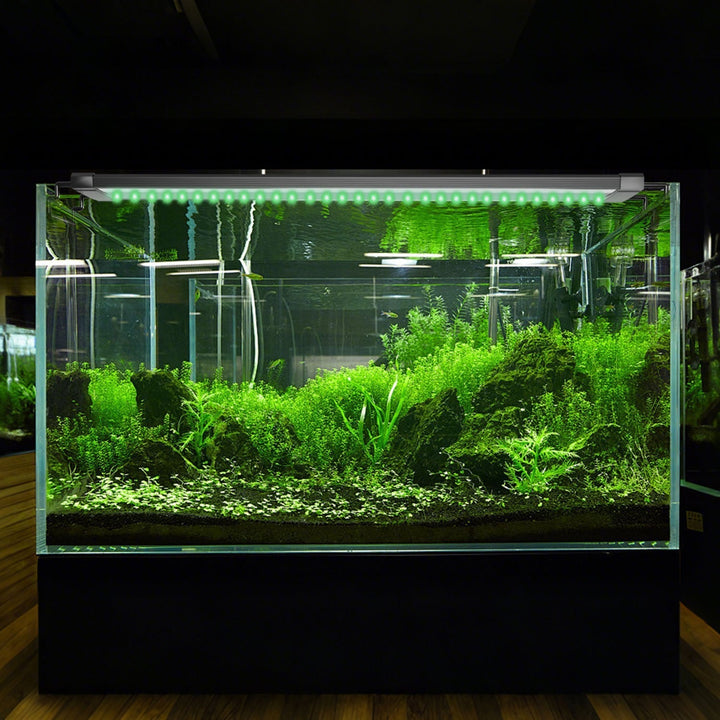 LED Aquarium Lighting 24/7 Mode with Timer | Kalsten