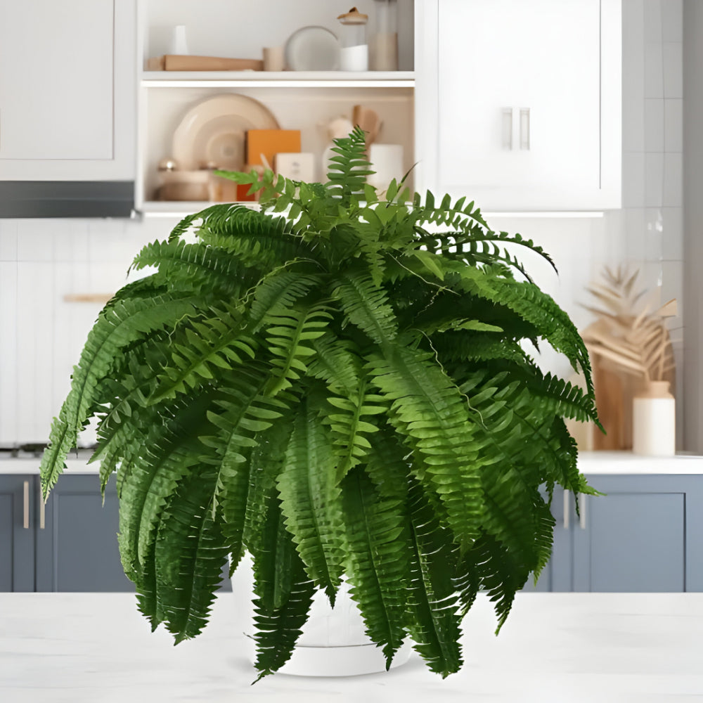 Kalsten | Artificial Boston Fern Home Decor Plant