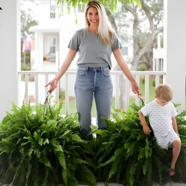 Kalsten | Artificial Boston Fern Home Decor Plant
