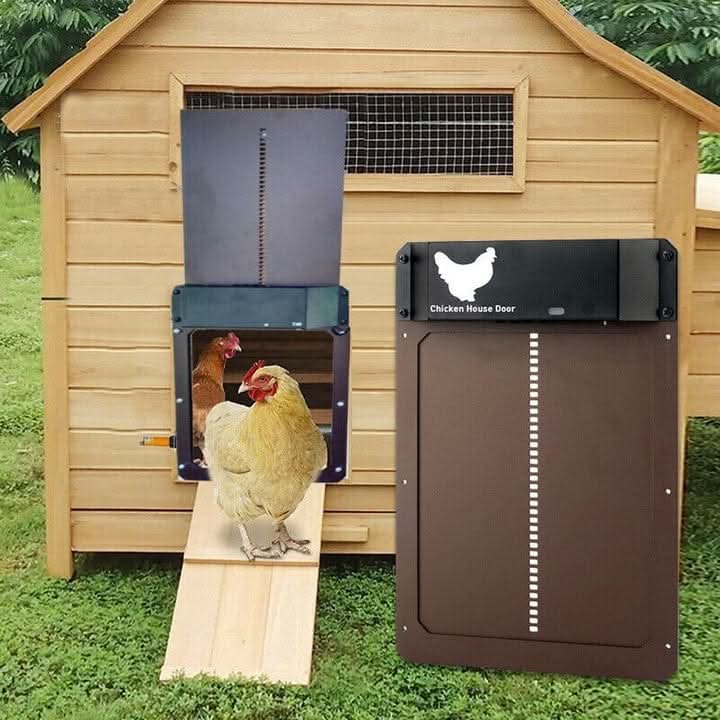 Kalsten | Automatic Chicken Coop Door with Light Sensor & Weather Protection