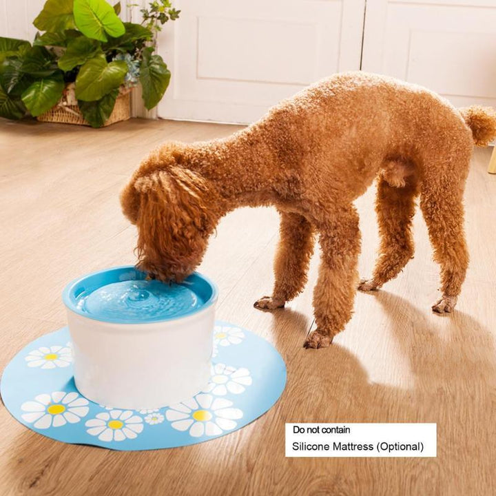 Automatic Pet Water Fountain | Kalsten