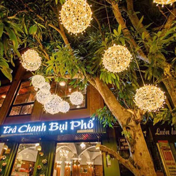 Modern Art Deco Waterproof PVC Hanging Ball Decoration LED Outdoor Pendant Light Outdoor Light For Garden | Kalsten