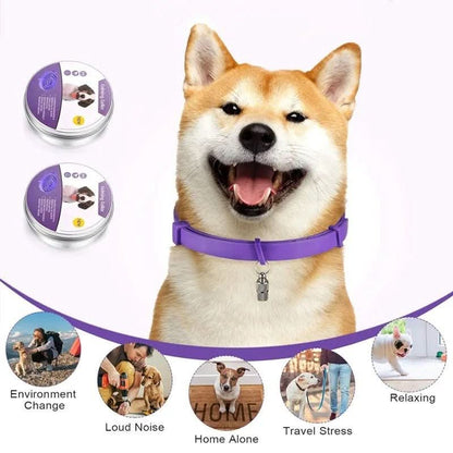 BowLift | Calming collar with pheromones for relaxed dogs