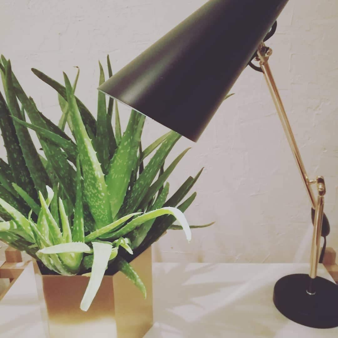 Birdy Table Lamp | Kalsten