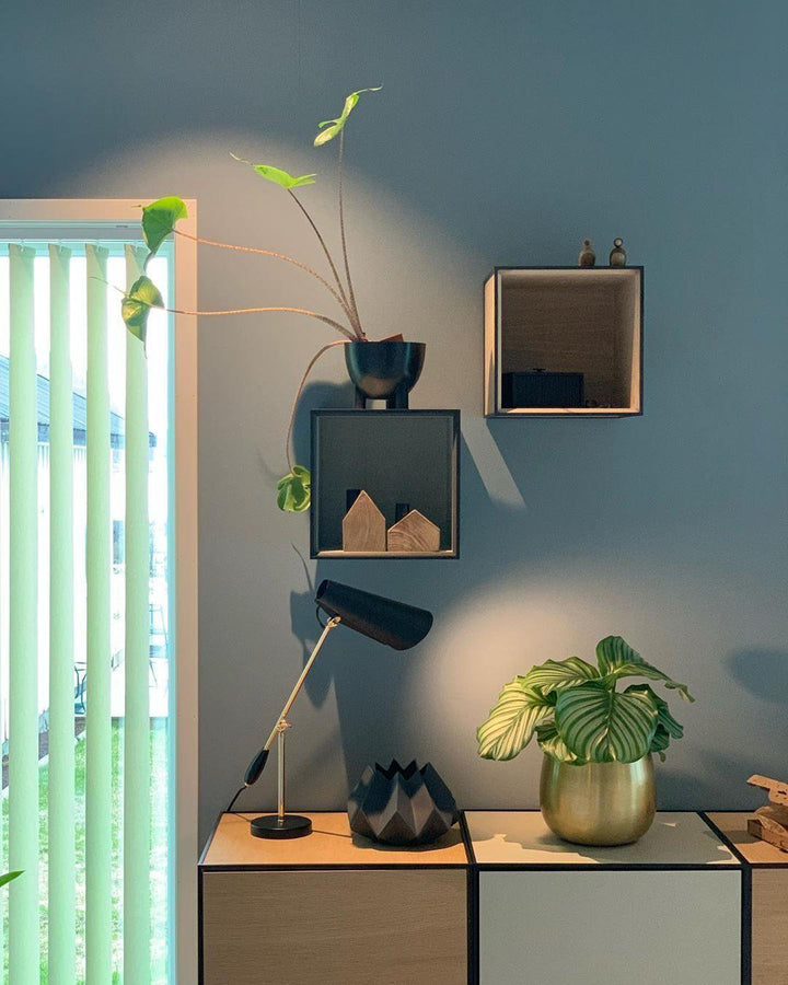 Birdy Table Lamp | Kalsten