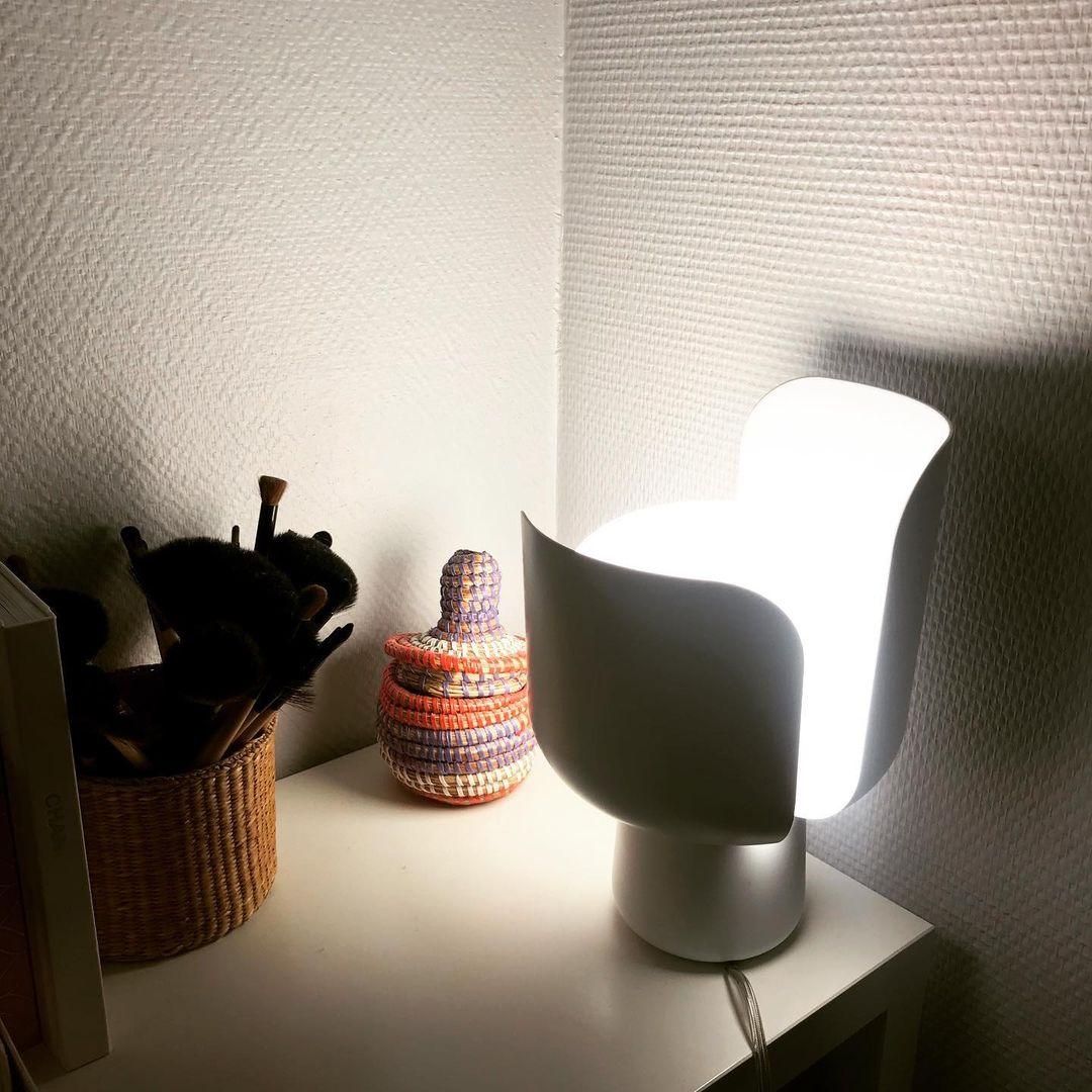 Petals Glass Accent lamp Table Lamp | Kalsten