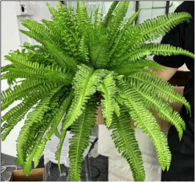 Kalsten | UV Resistant Lifelike Artificial Boston Fern