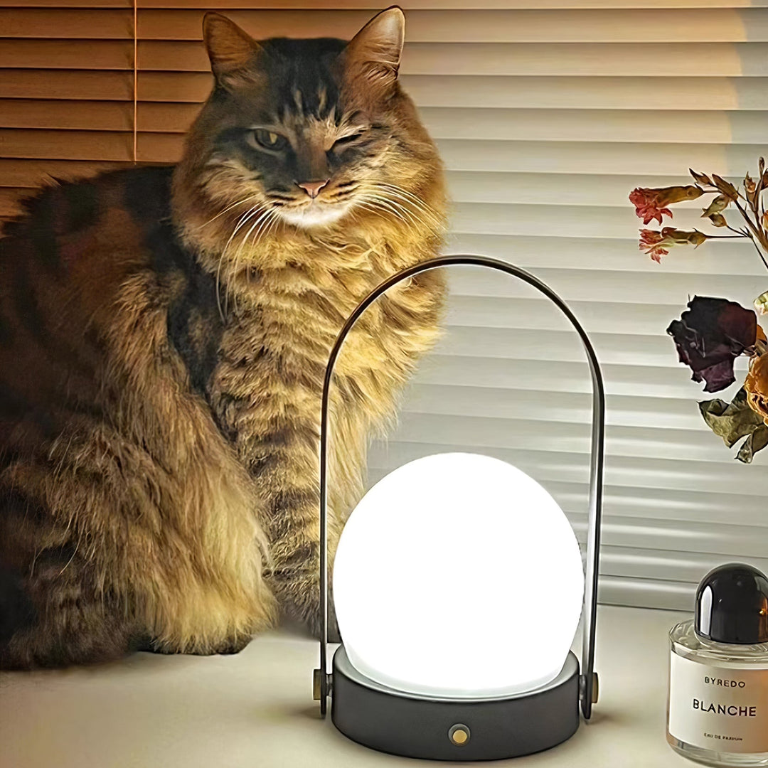 Carrie Built-in Battery Desk lamp Table Lamp | Kalsten