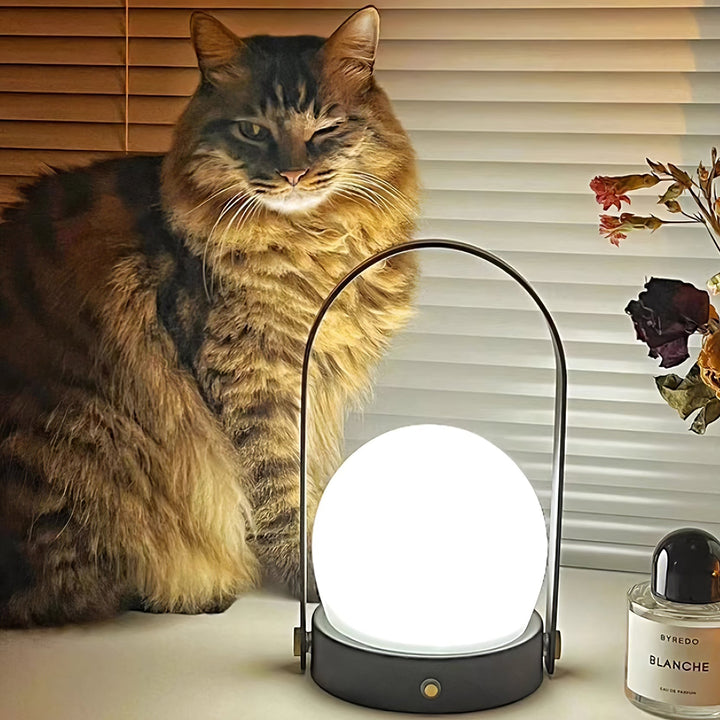 Carrie Built-in Battery Desk lamp Table Lamp | Kalsten