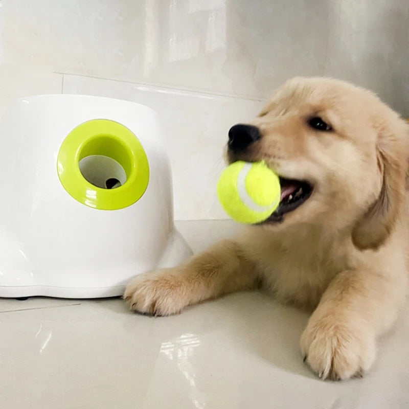 PlayBolt Automatic Ball Launcher for Dogs | Kalsten