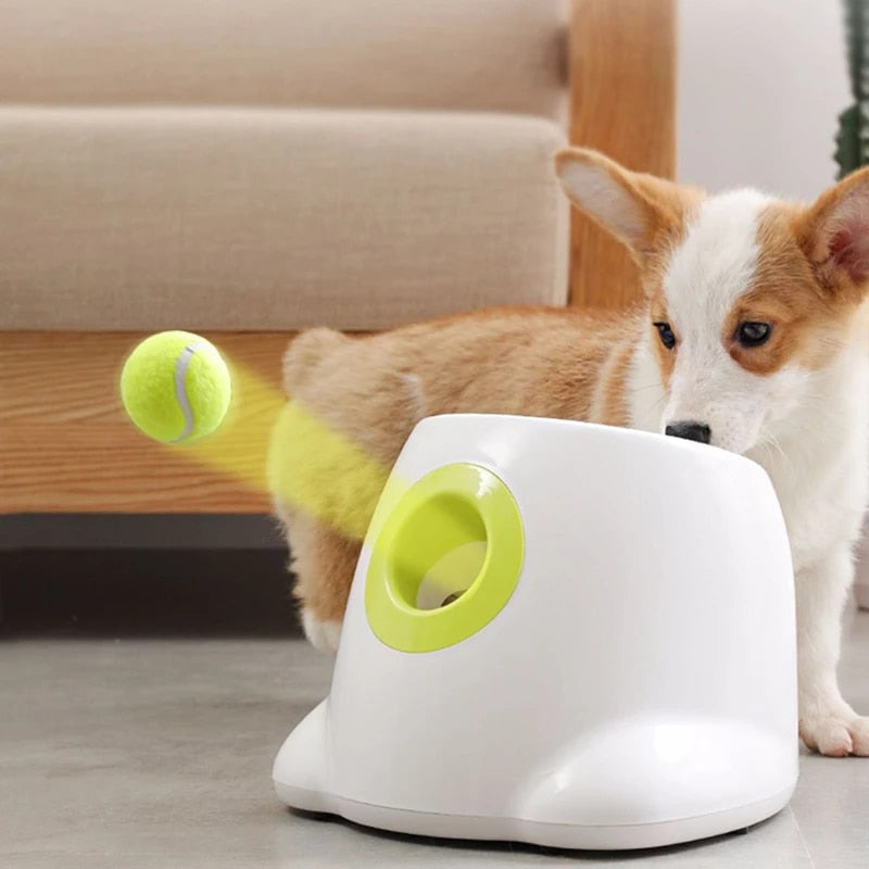 PlayBolt Automatic Ball Launcher for Dogs | Kalsten