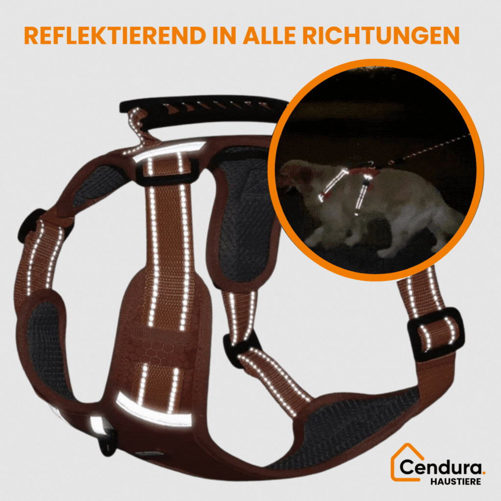 HappyHund Safety Harness Reflective | Kalsten