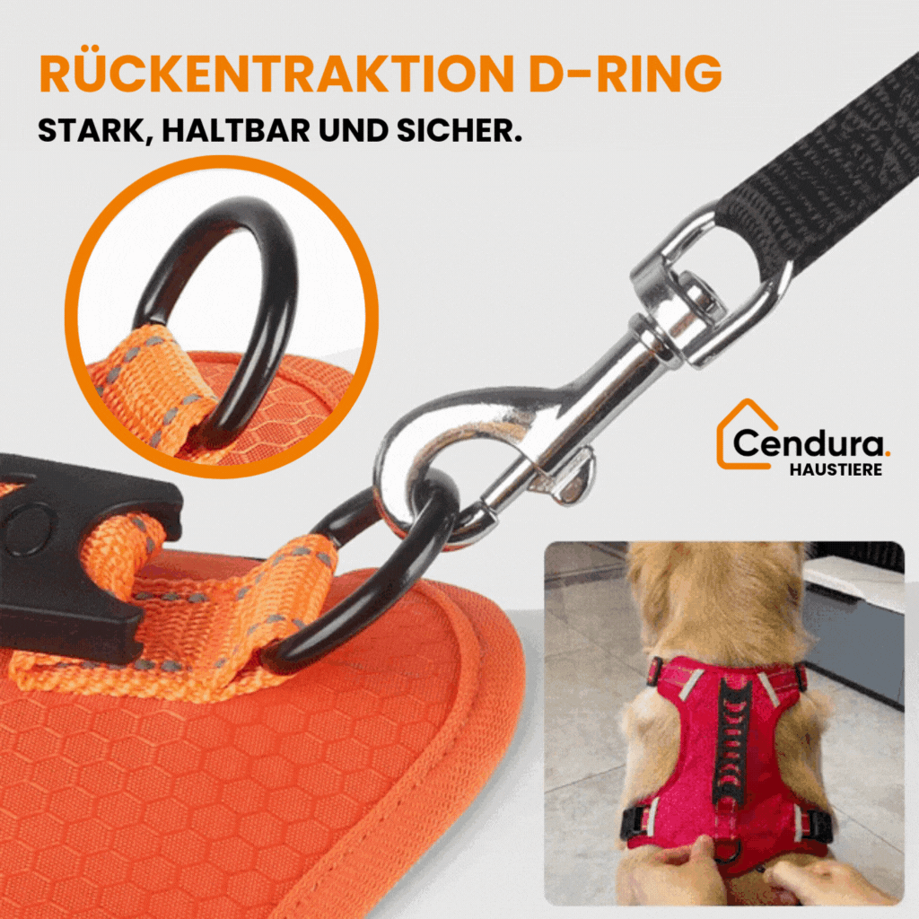 HappyHund Safety Harness Reflective | Kalsten