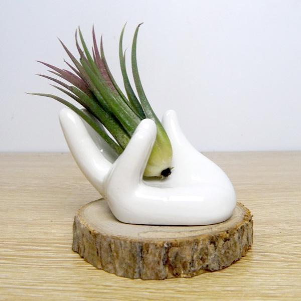 Ceramic Hand Shaped Air Plant Egg Jewelry Holder | Kalsten