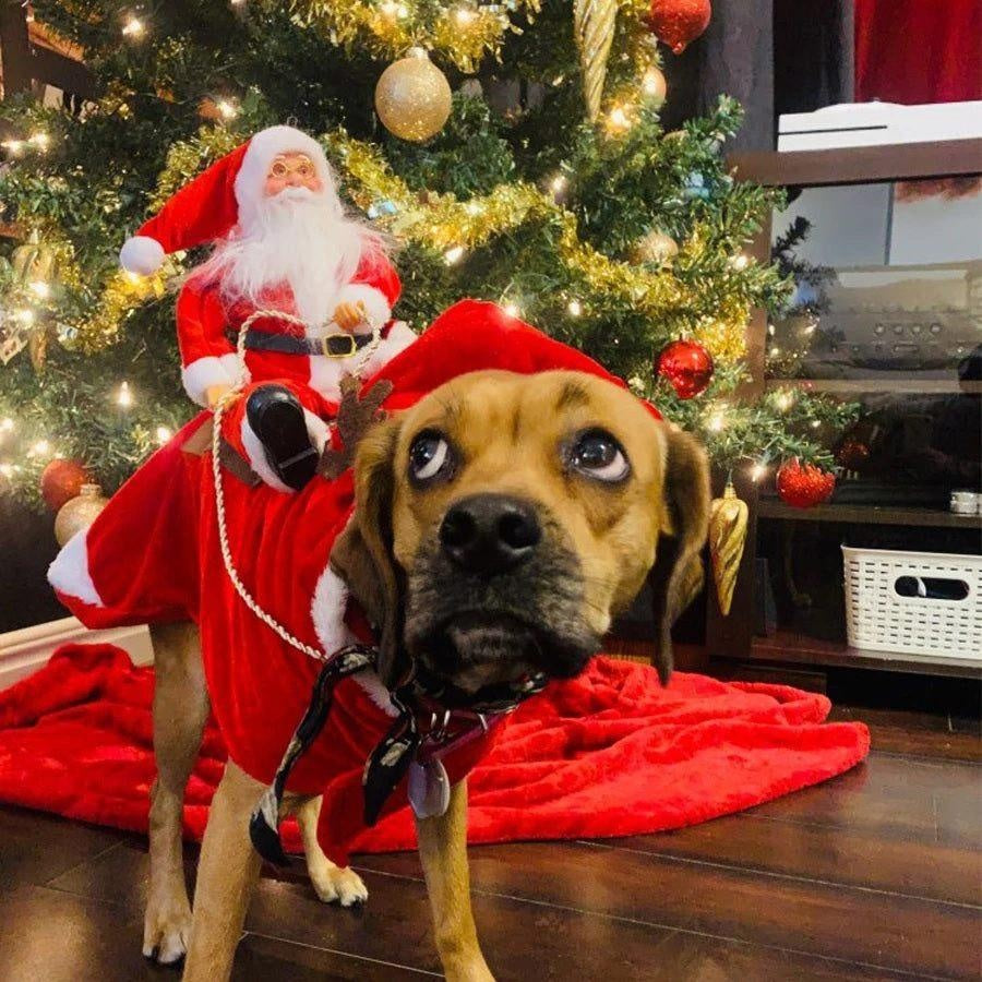 Christmas Santa Dog Costume | Kalsten