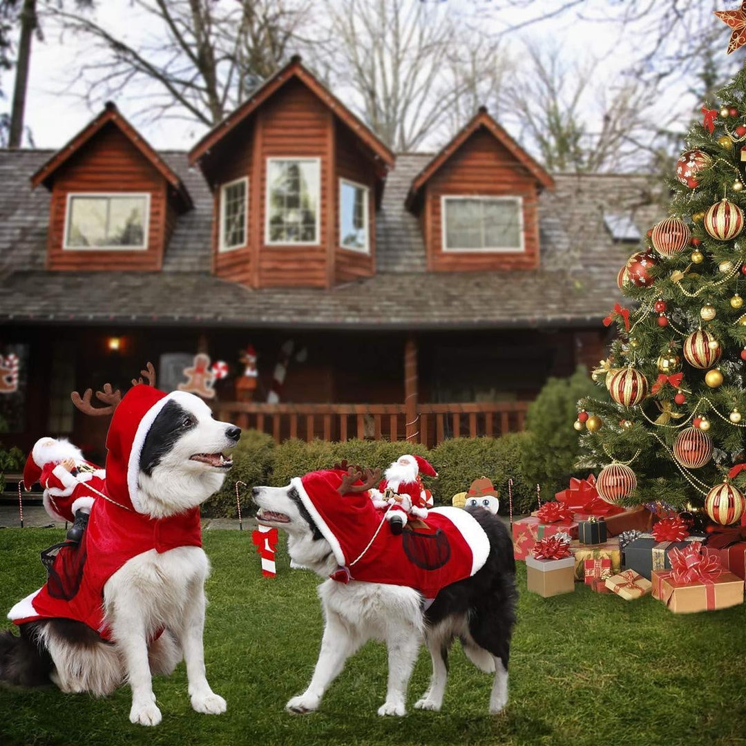 Christmas Santa Dog Costume | Kalsten