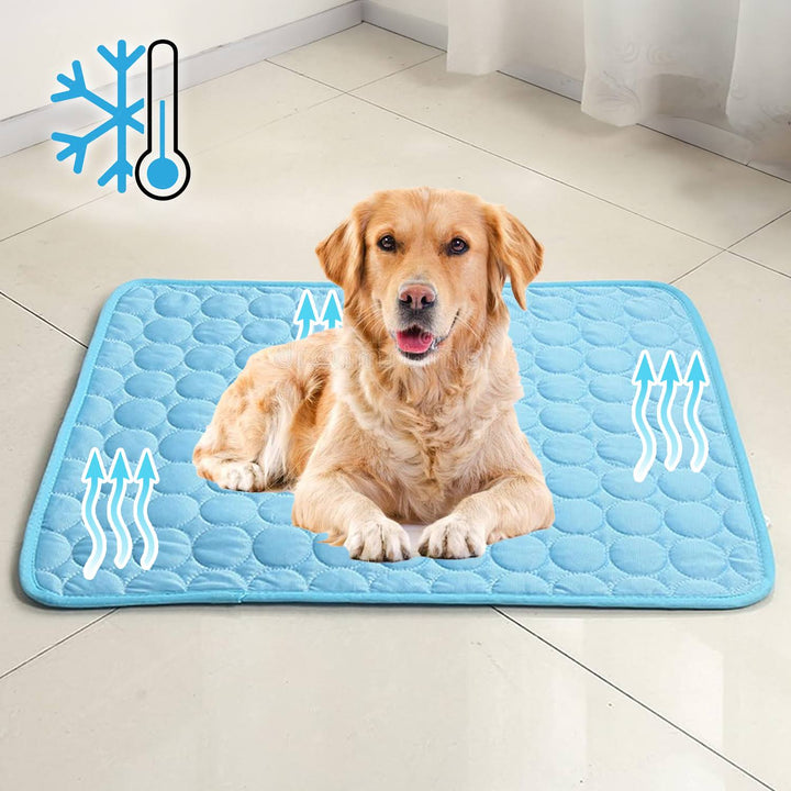 Cooling Dog Mat – Summer Comfort Kalsten